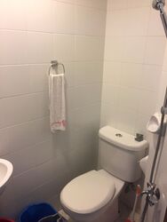Palm Gardens (D23), Condominium #529047261